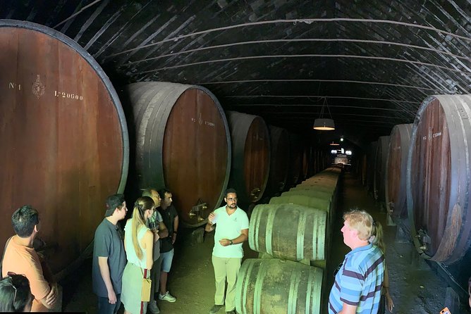 Setúbal Wine Tour with Visit and Tasting at 2 Wineries - What the tasting experience is like