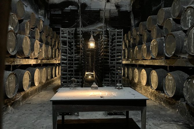 Setúbal Wine Tour with Visit and Tasting at 2 Wineries - The guides make the difference
