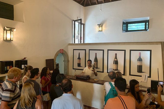 Setúbal Wine Tour with Visit and Tasting at 2 Wineries - Is $117.96 good value?