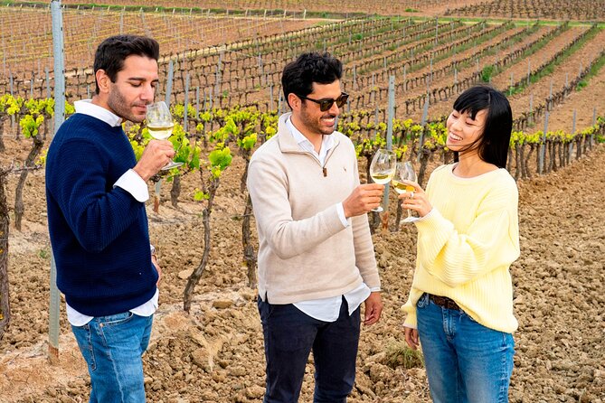 Setúbal: Winery & Fish Market Tasting Tour from Lisbon - From Lisbon to Setúbal across the 25 de Abril Bridge