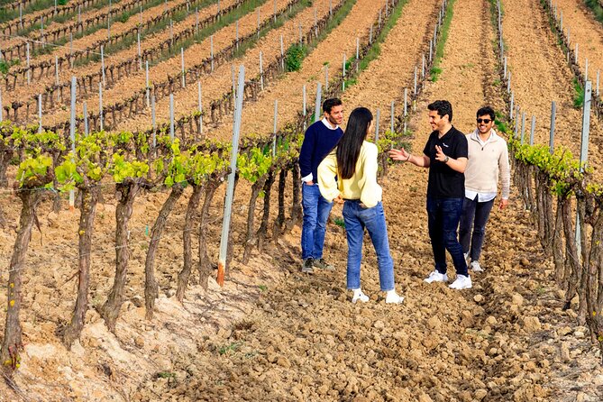 Setúbal: Winery & Fish Market Tasting Tour from Lisbon - Four wines, local food, and a useful tasting pace
