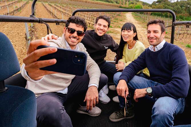 Setúbal: Winery & Fish Market Tasting Tour from Lisbon - Who should book this half-day outing?