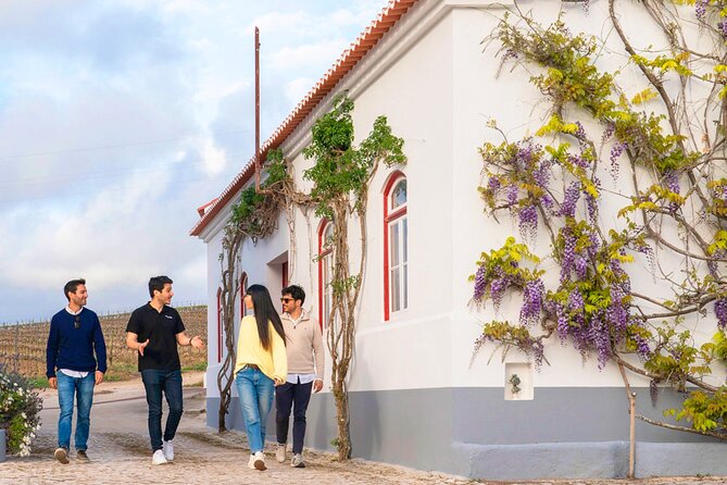 Setúbal: Winery & Fish Market Tasting Tour from Lisbon - Practical advice before you go