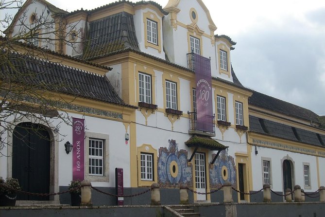 Setubal Winery Private Tour including Lunch at Sesimbra Beach - The possible family distillery stop