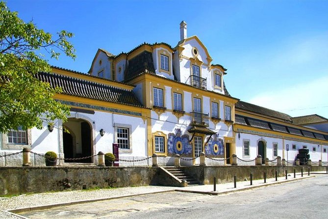 Setubal Winery Private Tour including Lunch at Sesimbra Beach - Is $405.51 per person good value?