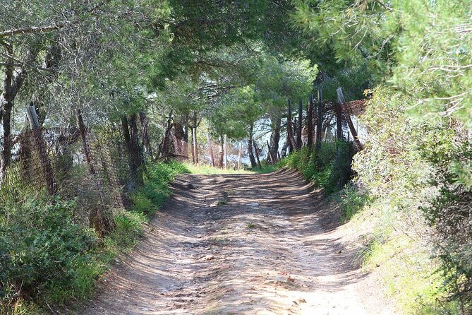 Seven Hanging Valleys Expedition with Lunch in the Vineyard - Is $555.27 per person a good value?