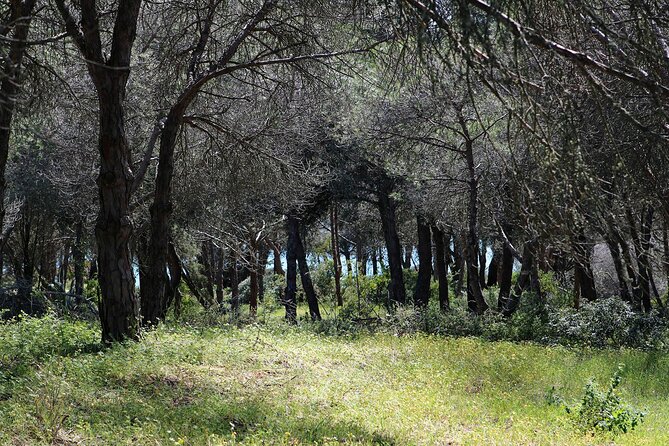 Seven Hanging Valleys Expedition with Lunch in the Vineyard - Who will enjoy this experience most?