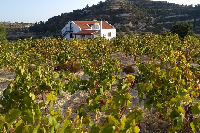 Shared Monolithos Boutique Winery Tour - Six wines in the private tasting room