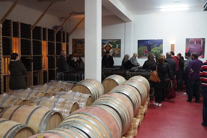 Shared Monolithos Boutique Winery Tour - Mountain views and a strong sense of place