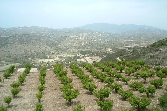 Shared Monolithos Boutique Winery Tour - A 75-minute look behind the bottle