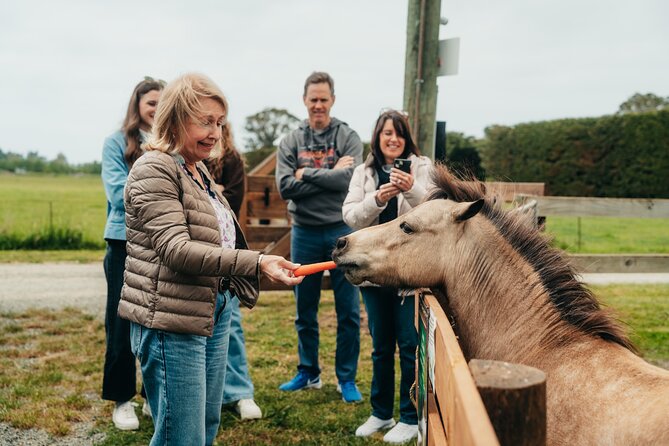 Sheep Farm Day Trip from Christchurch + Lunch and Winery visit. - Is the $183.07 price good value?