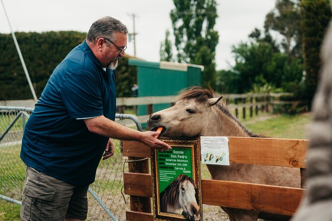 Sheep Farm Day Trip from Christchurch + Lunch and Winery visit. - Who will enjoy this day most?