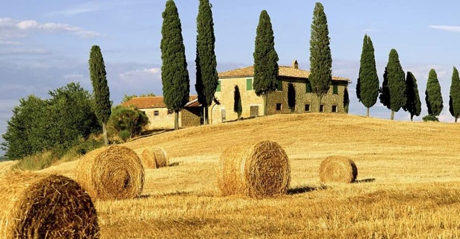 Shore Trip from La Spezia: Pisa,Lucca,lunch & tasting Winery - Who will get the most from this tour