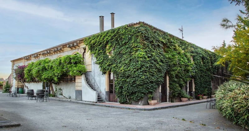 Sicilian Soul: Winery Tour, Wine & Food Tasting in Catania - Three Sicilian wines, tasted with guidance