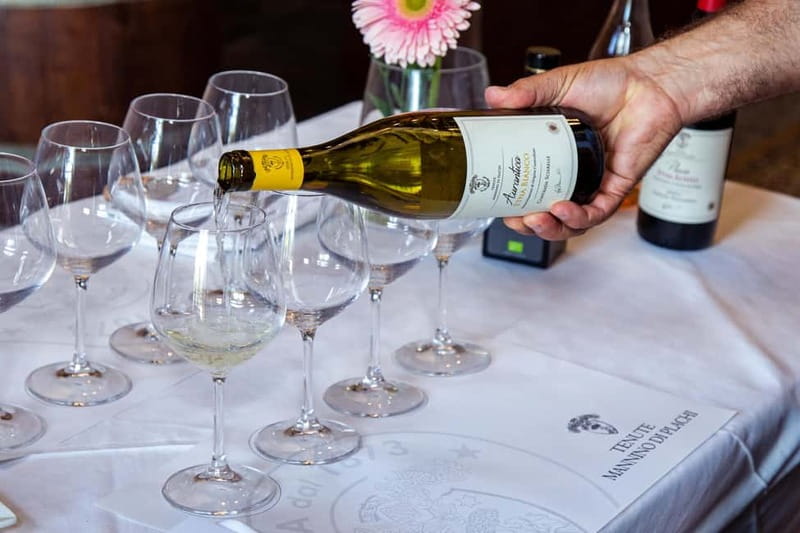 Sicilian Soul: Winery Tour, Wine & Food Tasting in Catania - Why the farm setting adds value