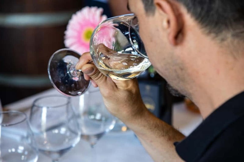 Sicilian Soul: Winery Tour, Wine & Food Tasting in Catania - Is $58 a fair price?