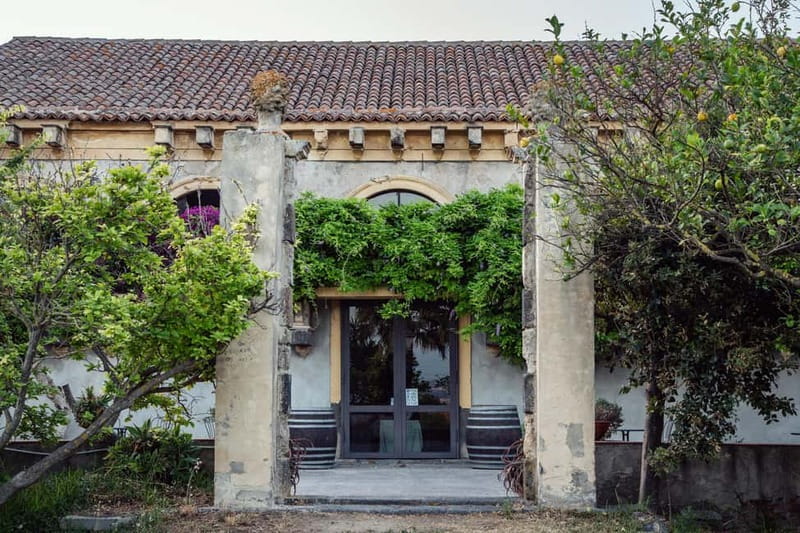 Sicilian Soul: Winery Tour, Wine & Food Tasting in Catania - What makes an old Palmento worth seeing