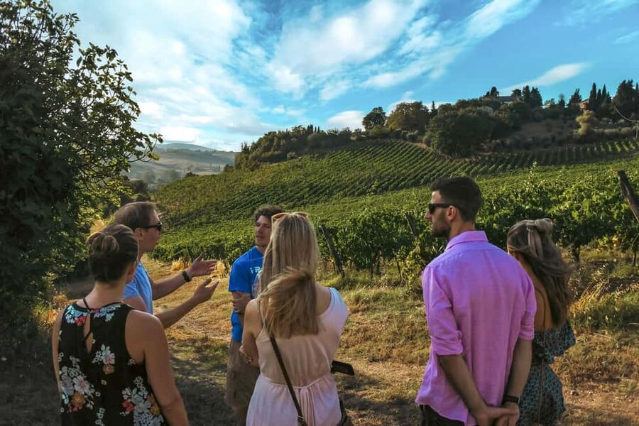 Siena: Organic Winery Tour and Wine Tasting - Why this Siena winery visit feels different
