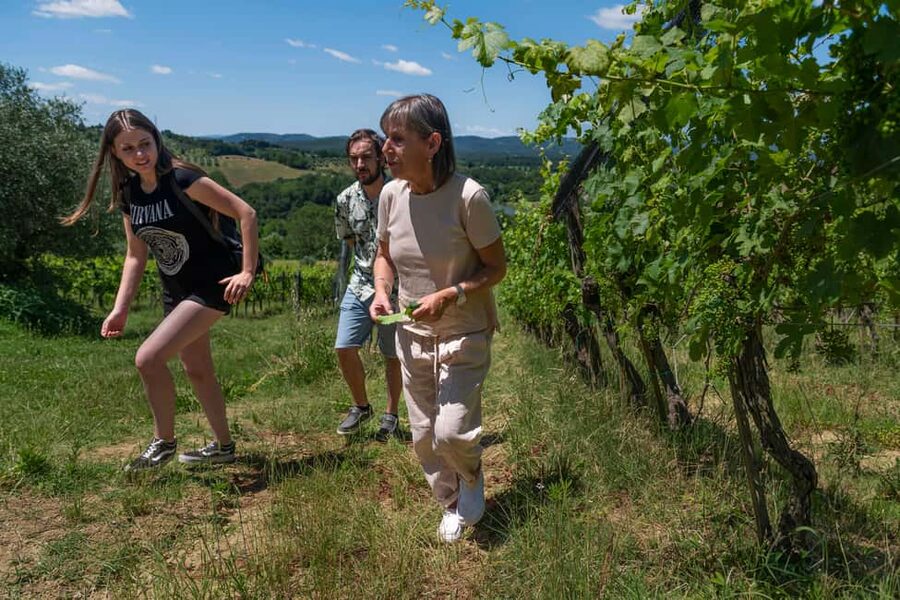 Siena: Organic Winery Tour and Wine Tasting - Inside the old cellar
