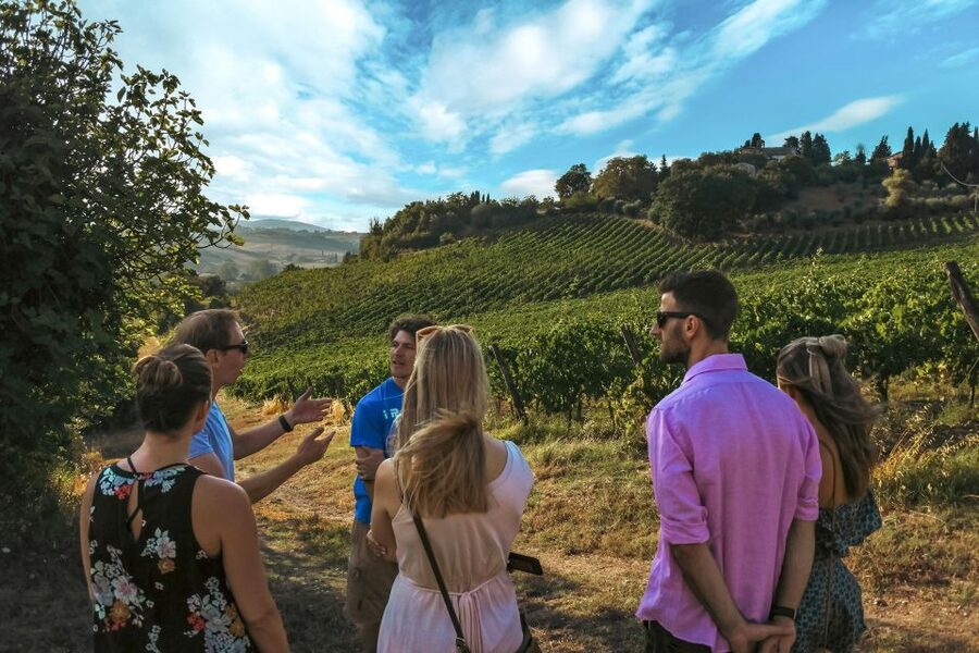 Siena: Organic Winery Tour and Wine Tasting - The seasonal Tuscan meal