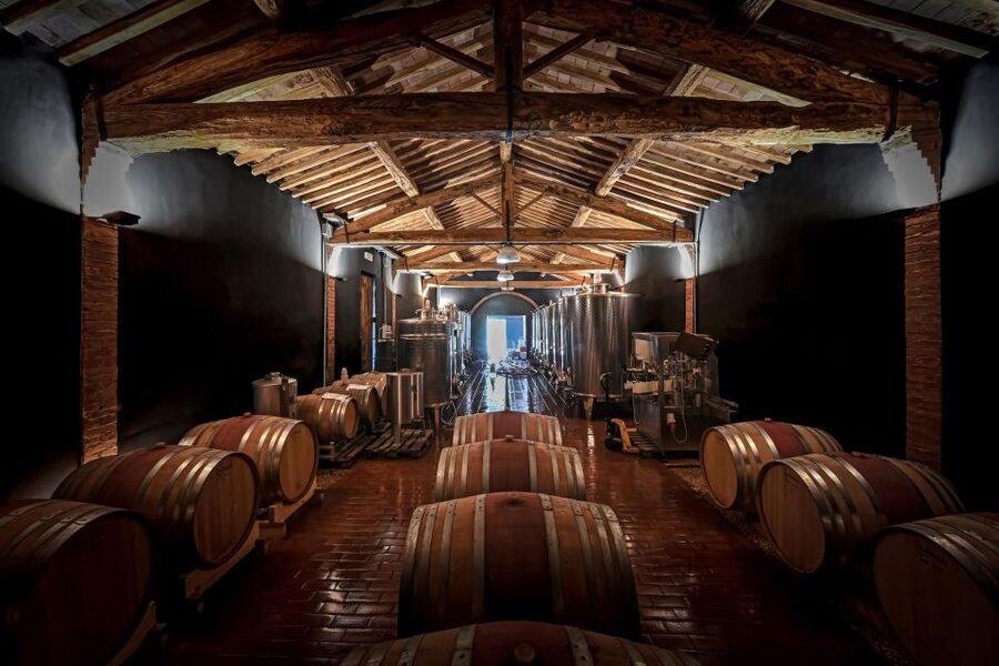 Siena: Organic Winery Tour and Wine Tasting - Group size and atmosphere