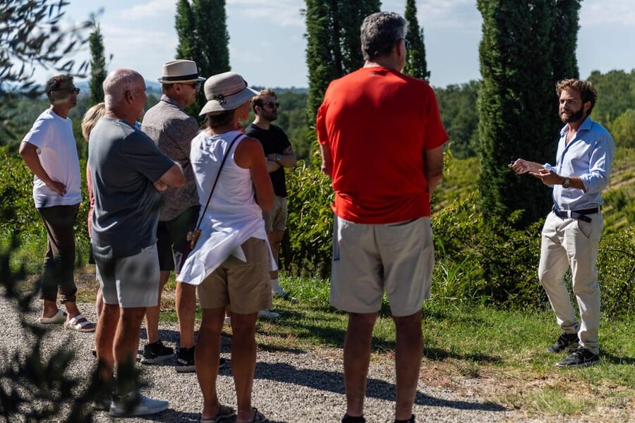 Siena: Winery tour/tasting with owner/maker of awarded wines - A small winery with a personal welcome
