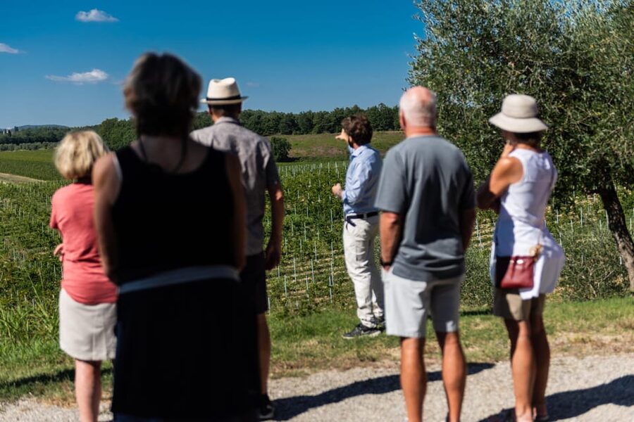 Siena: Winery tour/tasting with owner/maker of awarded wines - Should you book Tenuta Larnianone?