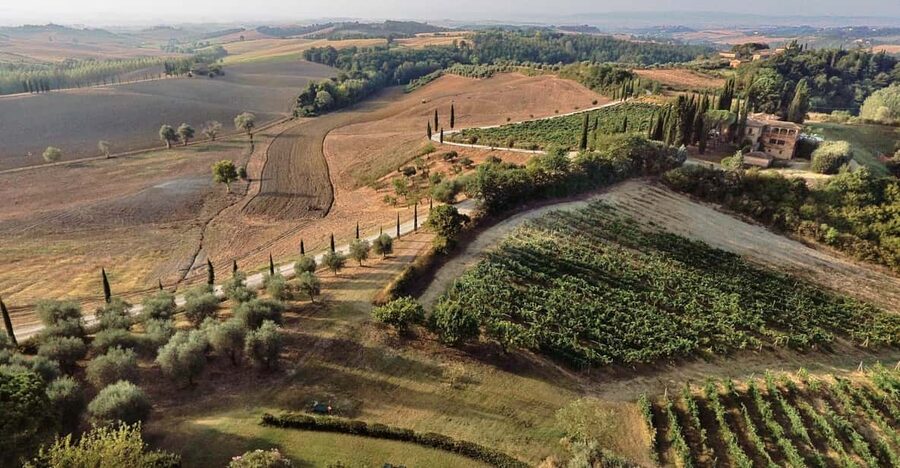 Siena: Winery tour/tasting with owner/maker of awarded wines - Inside the winemaking facilities