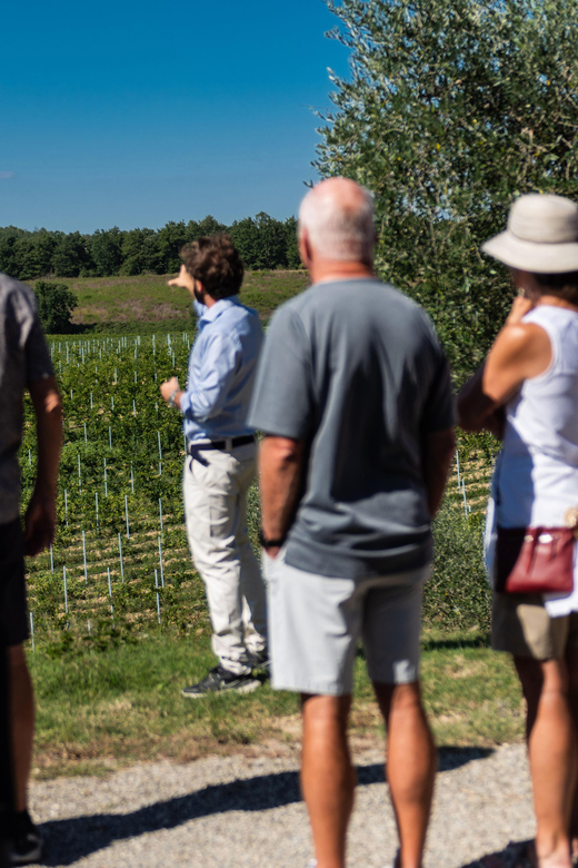 Siena: Winery tour/tasting with owner/maker of awarded wines - Why the private format changes the experience