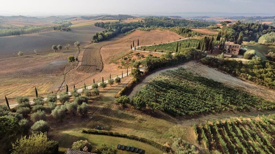 Siena: Winery tour/tasting with owner/maker of awarded wines - The $59 price and what you receive
