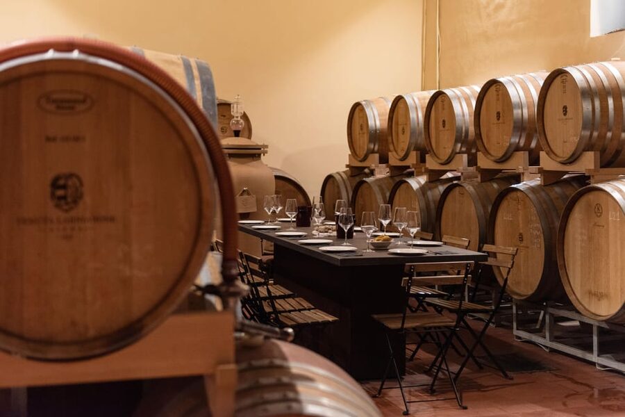 Siena: Winery tour/tasting with owner/maker of awarded wines - Walking the vineyards and reading the soil