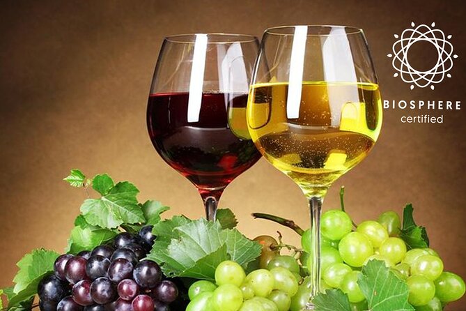 Signature Wine Tastings, Skywalk, Nature 4x4 Open Roof Expedition - Cabo Girão and the first big view