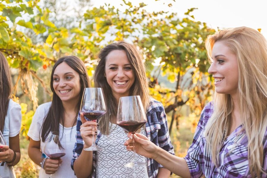 Silves: Algarvian Winery Tour and Tasting Experience - The Main Strengths and the One Real Weakness