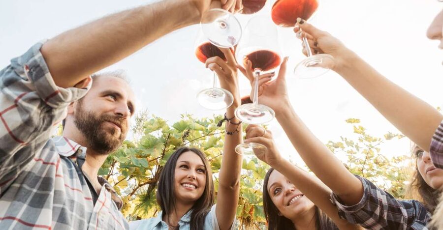 Silves: Algarvian Winery Tour and Tasting Experience - How Algarvian Wine Is Made