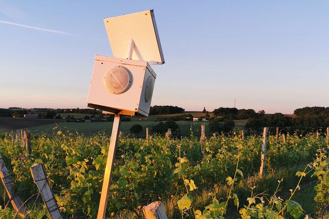 Simple Visit to Discover the Domaine d'Arton - Why Domaine d’Arton is worth your time