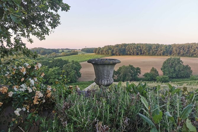 Simple Visit to Discover the Domaine d'Arton - Wine and Armagnac tasting: what to expect