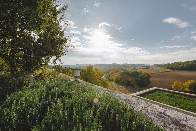 Simple Visit to Discover the Domaine d'Arton - The guide makes a difference