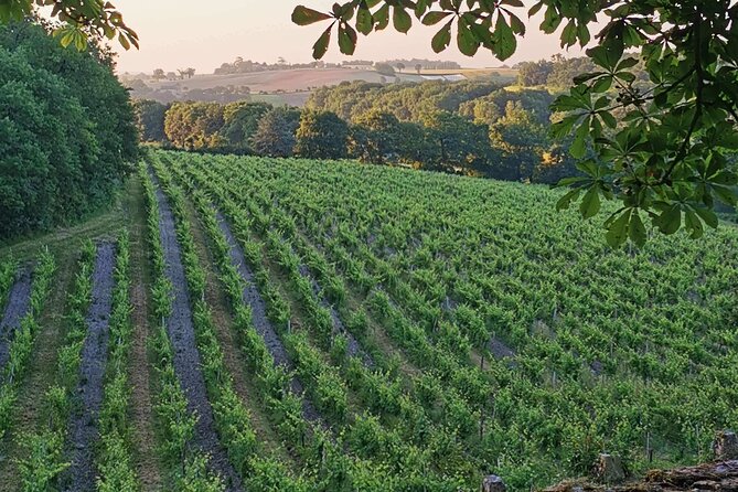 Simple Visit to Discover the Domaine d'Arton - Walking through the private gardens and estate