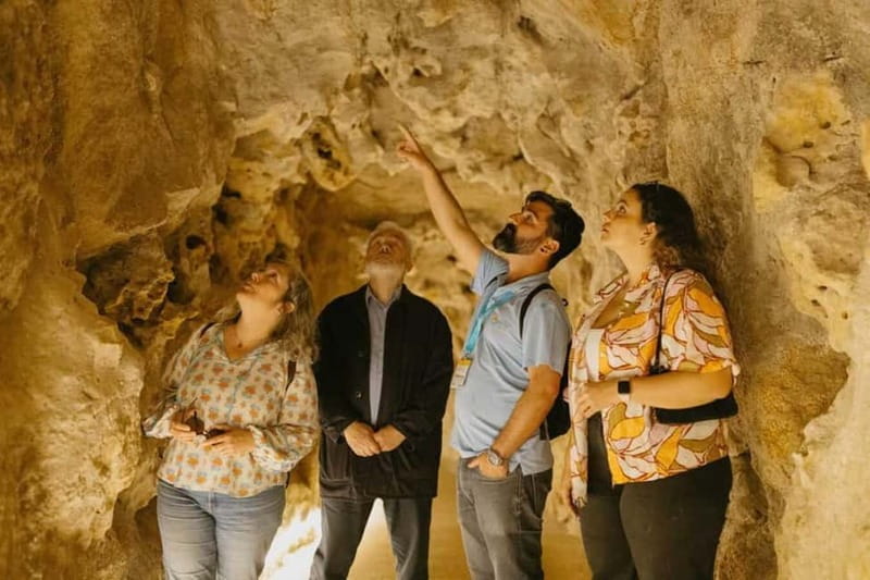 Sintra Private Walking Tour & Quinta da Regaleira - Languages and guide quality
