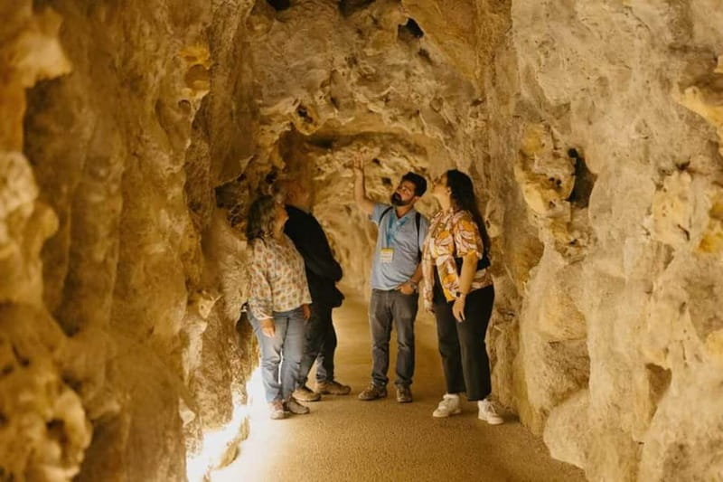 Sintra Private Walking Tour & Quinta da Regaleira - Why Quinta da Regaleira deserves a guided visit