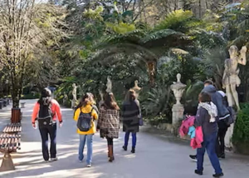Sintra Private Walking Tour & Quinta da Regaleira - Is $353 per person good value?