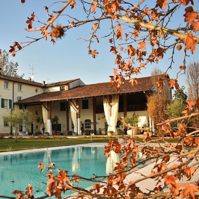 Sirmione: Vineyard Tour with Lugana Wines and Local Tastings - The Lugana wines and Garda Cabernet