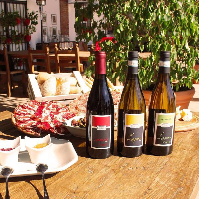 Sirmione: Vineyard Tour with Lugana Wines and Local Tastings - A tasting table built around local food