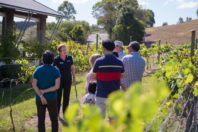 Sirromet Winery Tour and Wine Tasting - Key points to know before you book