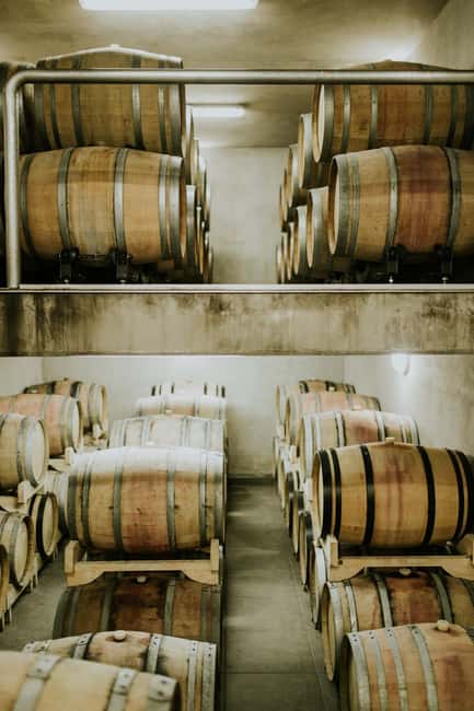 Šišan: Wine Tasting: Organic Wines of Southern Istria - Should you book the Šišan tasting?