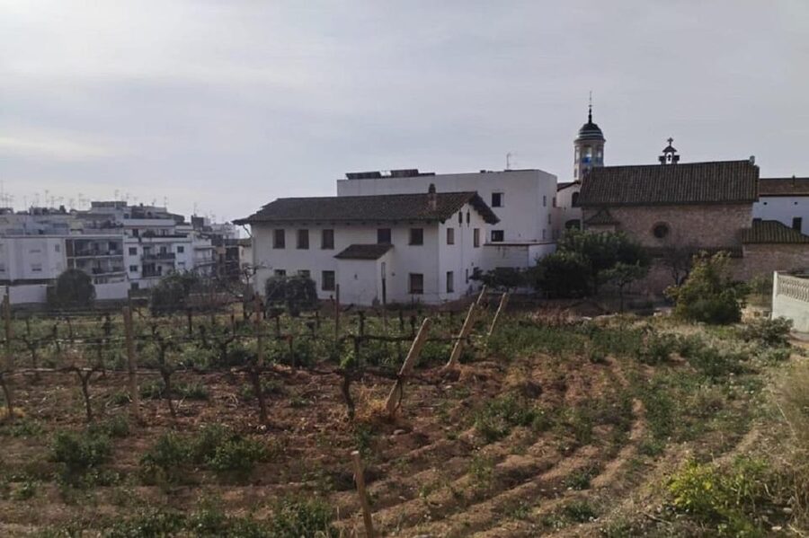 Sitges: Sailboat trip + walking tour and wine cellar tour - Weather, comfort, and practical limits