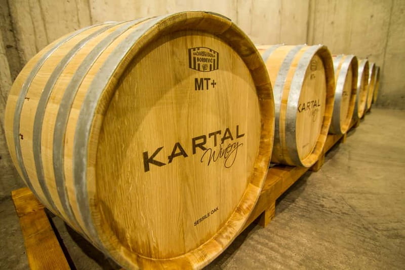 Skopje: Kartal Winery Tour - Six wines, from Stanushina to Vranec