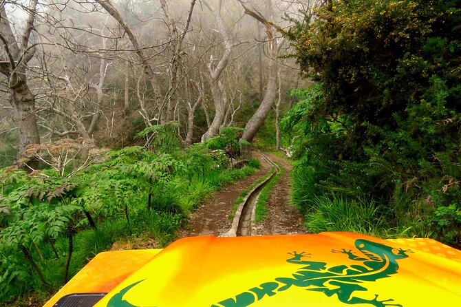 Skywalk, Vineyards, Landscapes and 4x4 Experience in Madeira - Boca dos Namorados and Curral das Freiras