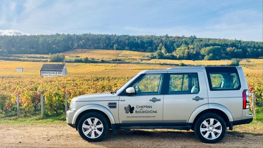 Small group full day tour in the Burgundy vineyards - Why this Burgundy day works