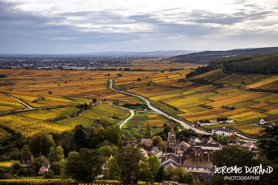 Small group full day tour in the Burgundy vineyards - Morning through Pommard and Meursault